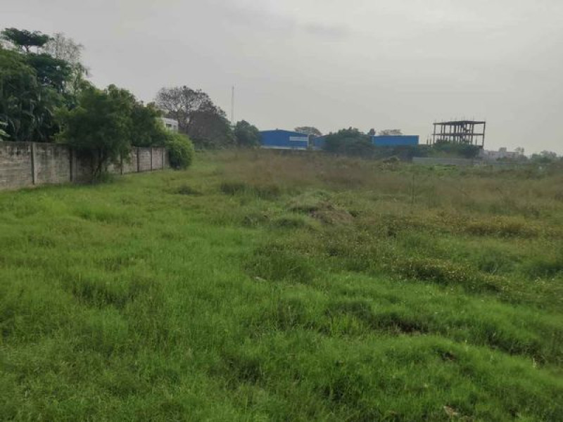 Plot sale