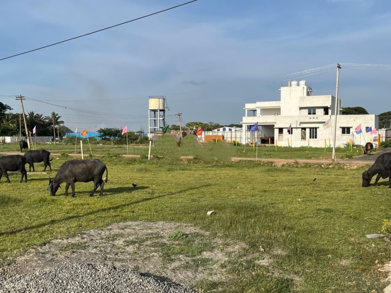 plot for sale