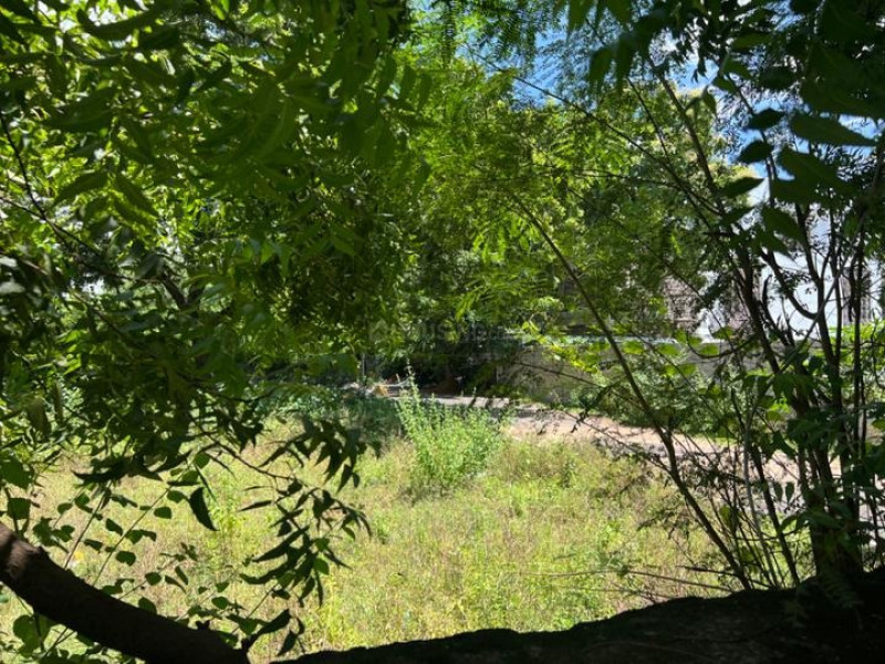 Residential Plot