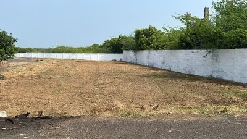 Residential Plot