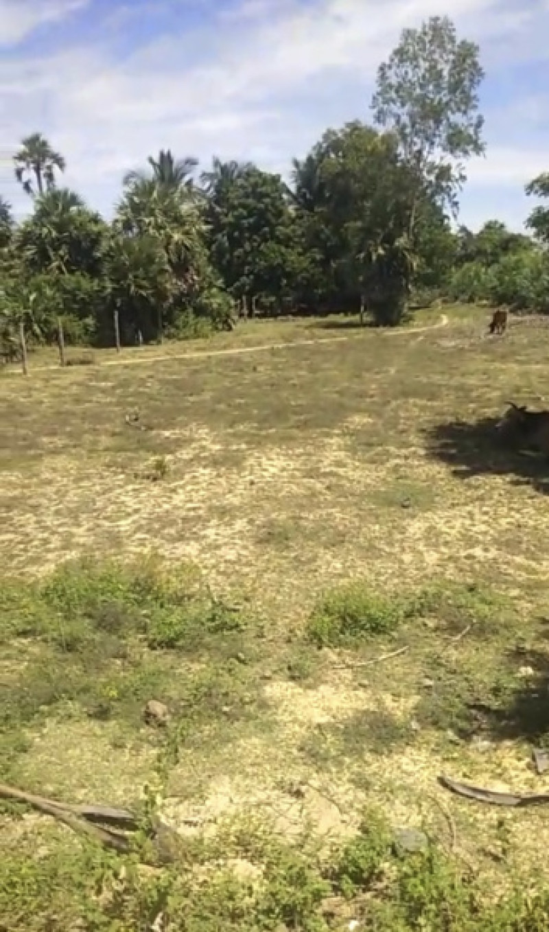 Plot sale