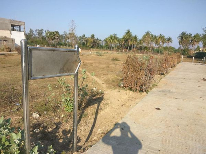 Plot sale