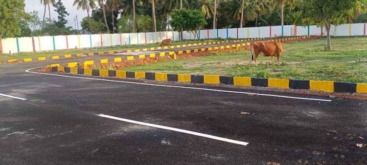 DTCP Approved plots available for sale Near Kadachanenthal