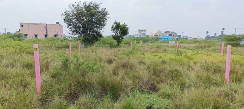 Plot sale