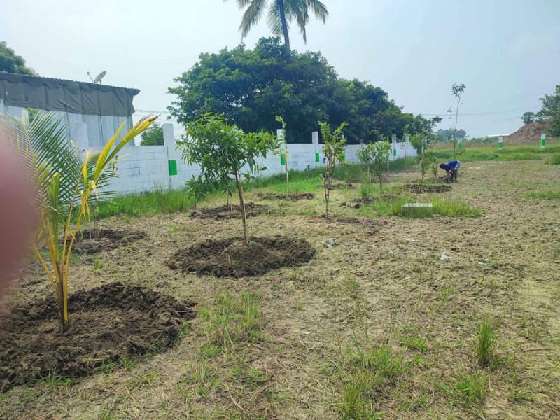 Farm Land For Sale