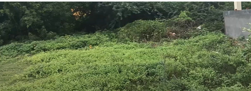 Land for sales