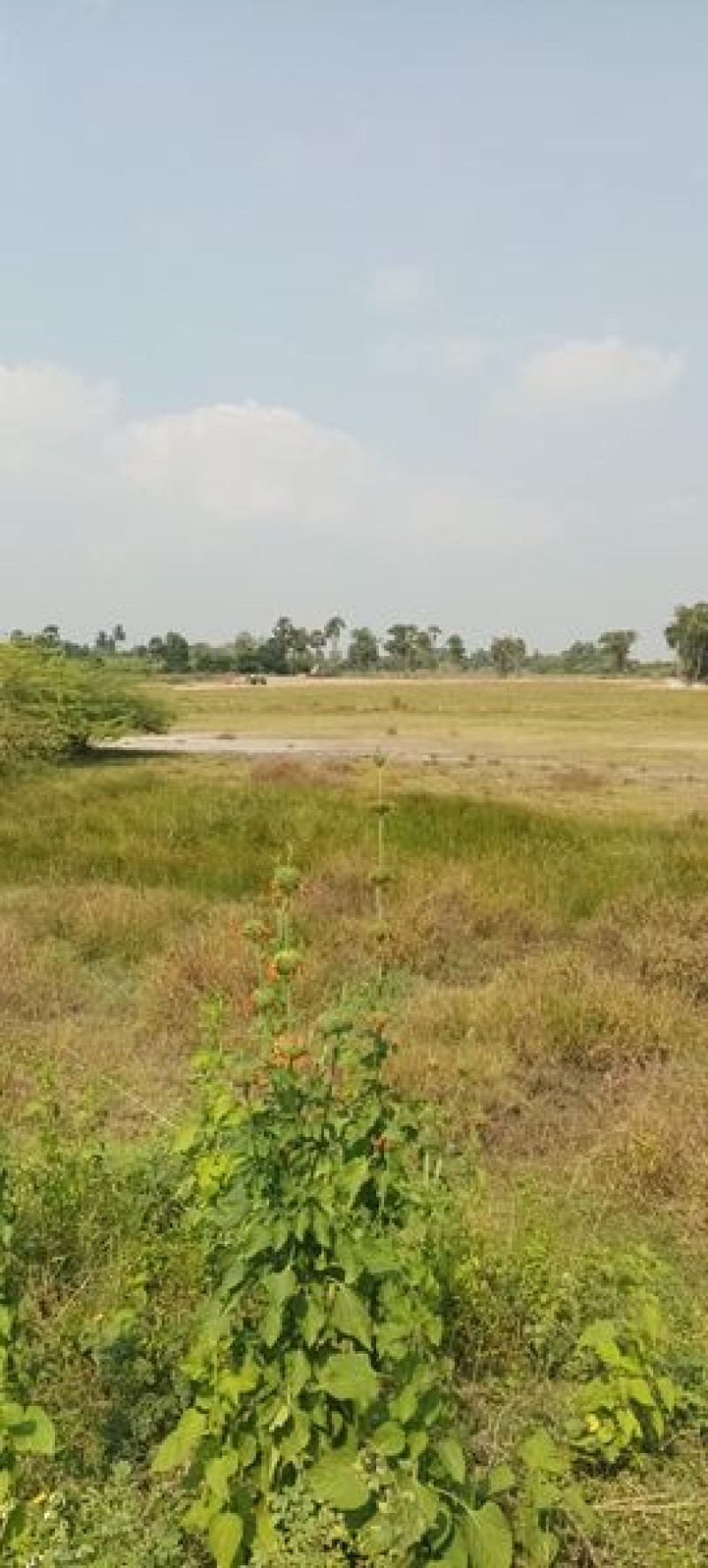 Land sale