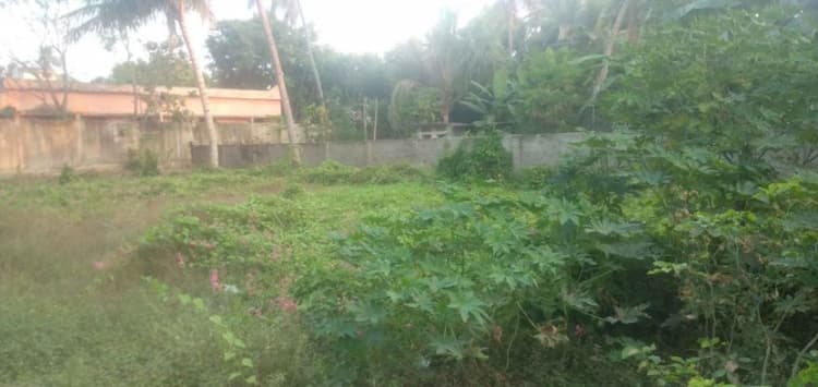 Single Property Image