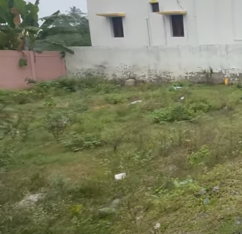 Land for sales