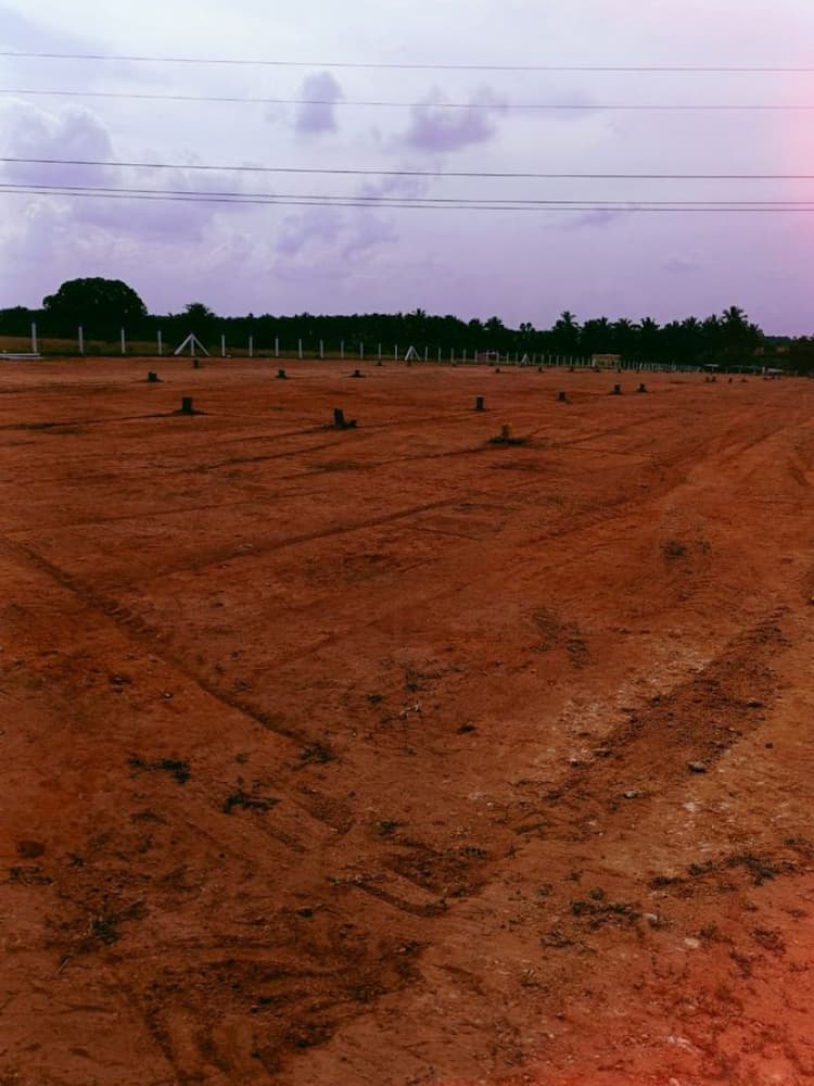 Single Property Image