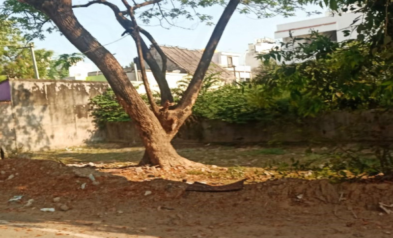 Land for sales