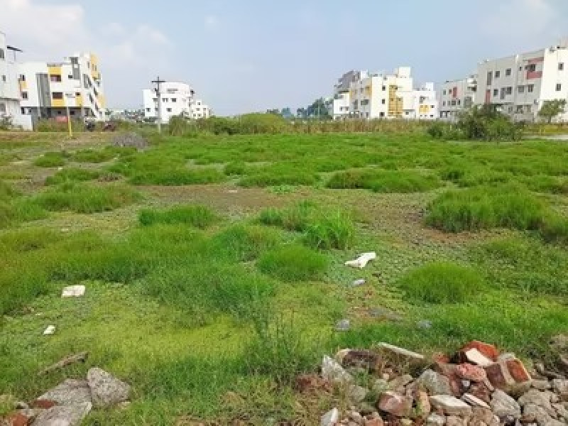 Residential Plot