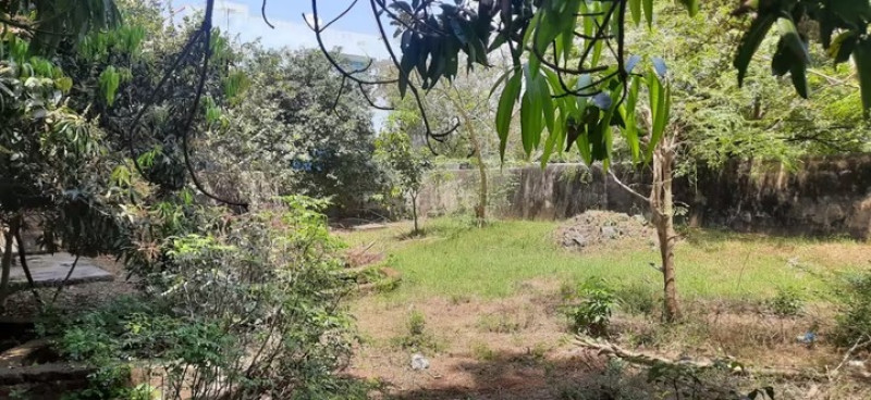 Residential Plot