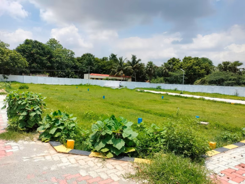 plot for sale