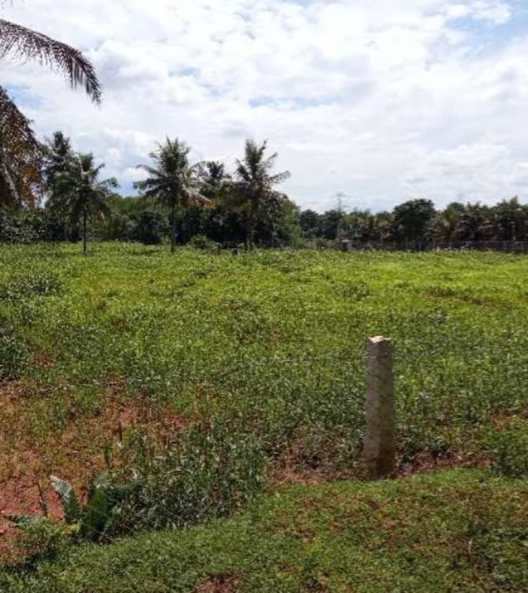 Land for Sale