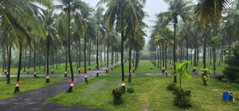 Land sale