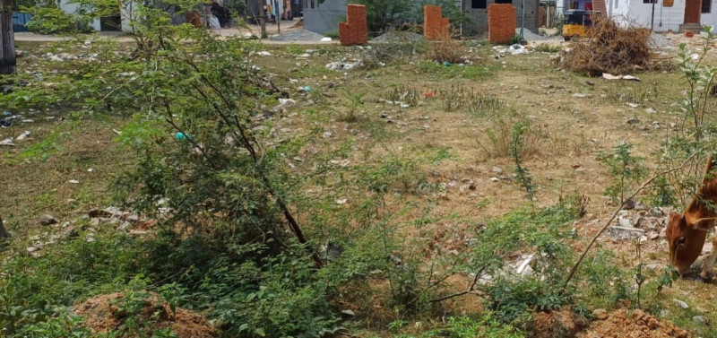 Land for sales