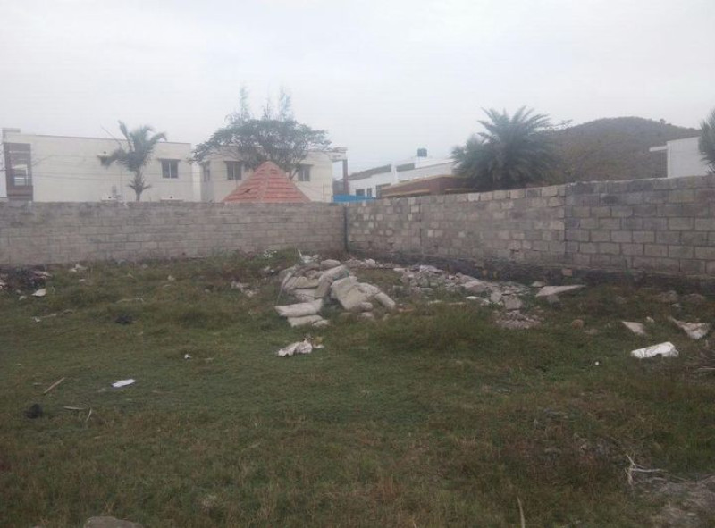 Land for sales
