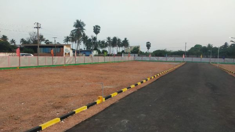 Plot saele