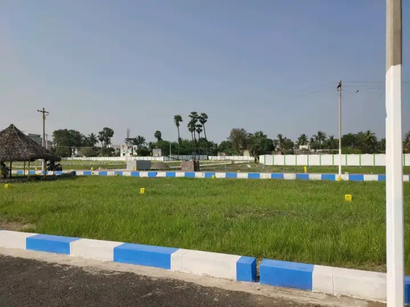 Residential Plot