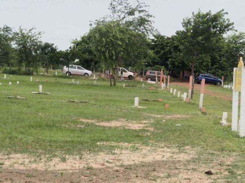 Plot sale