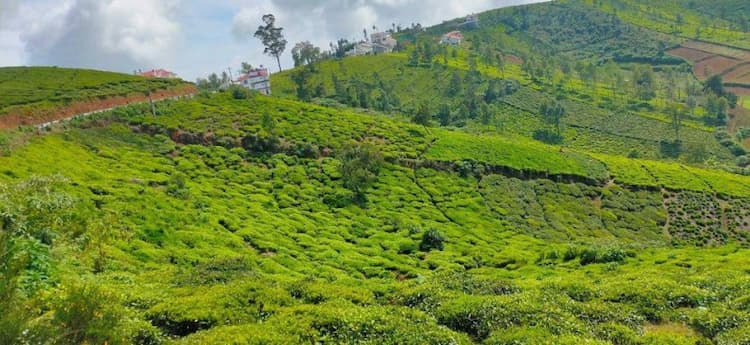 LAND FOR SALE IN OOTY