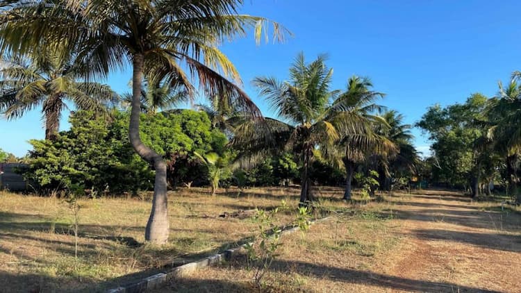 Single Property Image