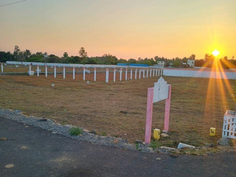 Residential Plot