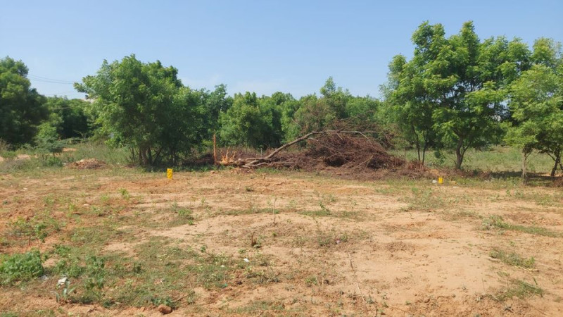 Plot sale