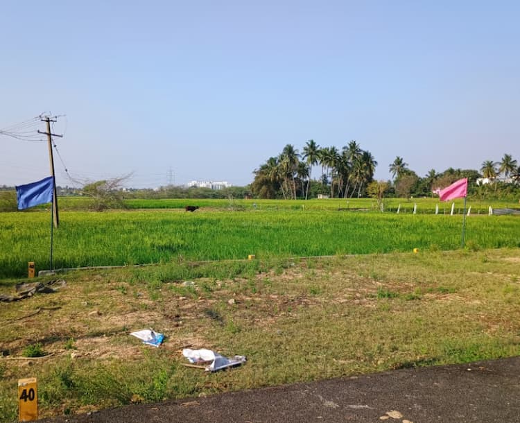 Land for Sale