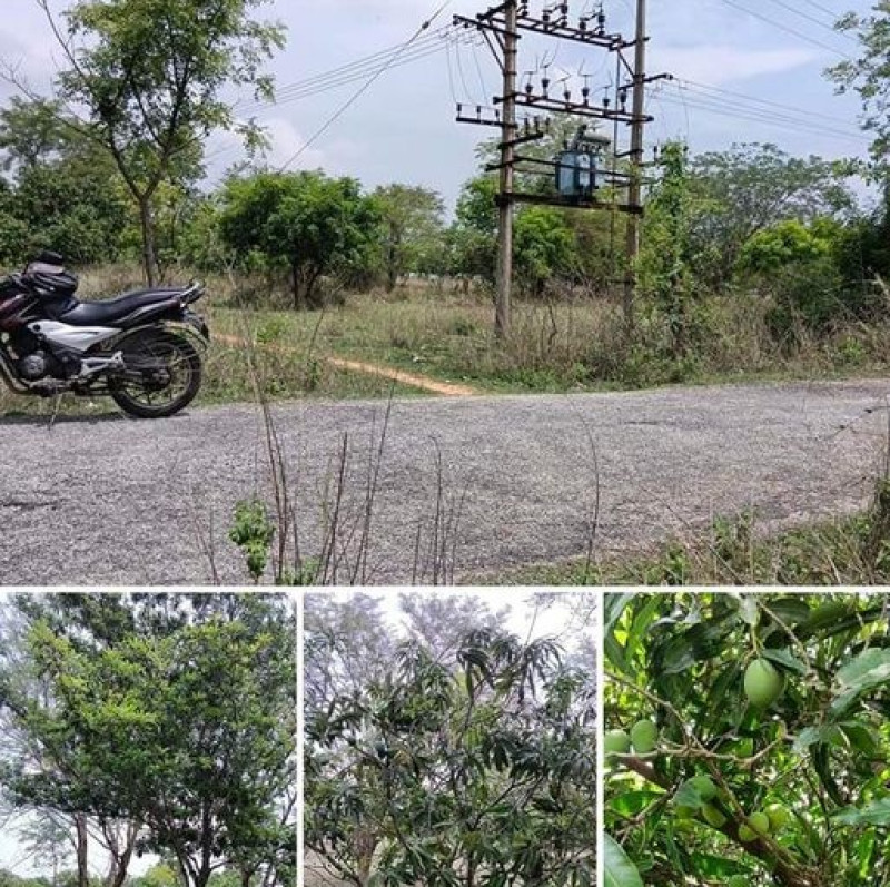 Land sale