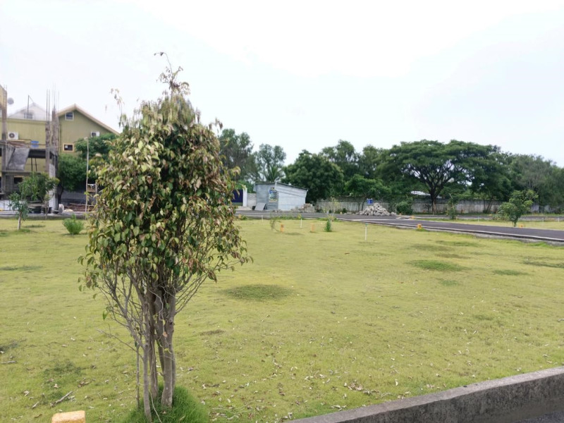 plot for sale