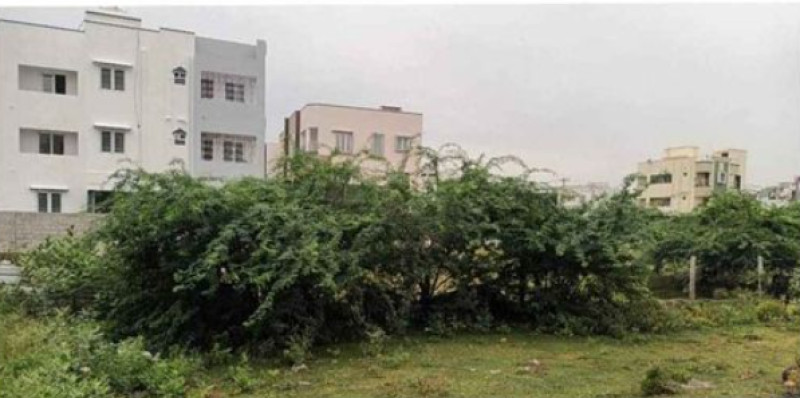 House for sales
