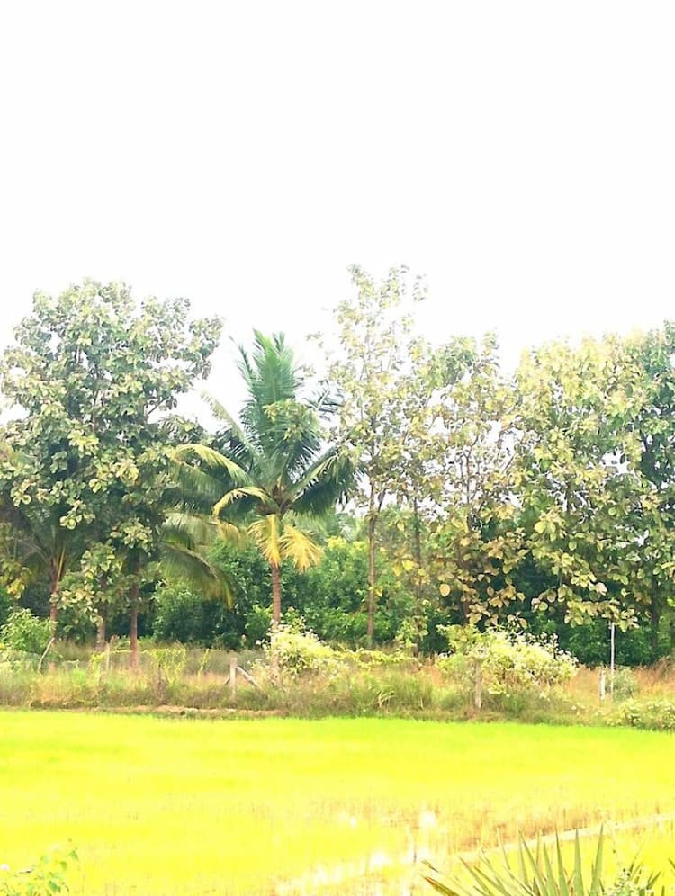 1 Acre 40 Cent Land with House for Sale