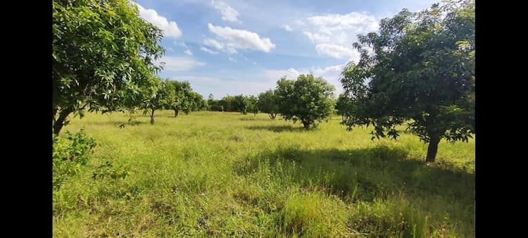 1.90 acre Plot