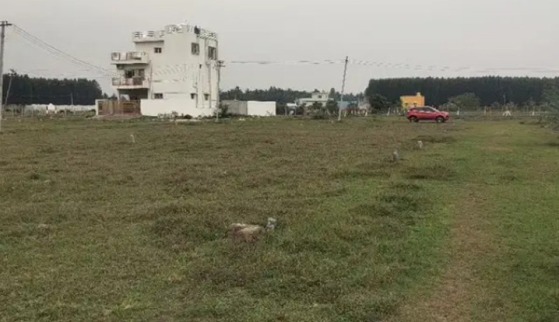 2902 sqft Plot
