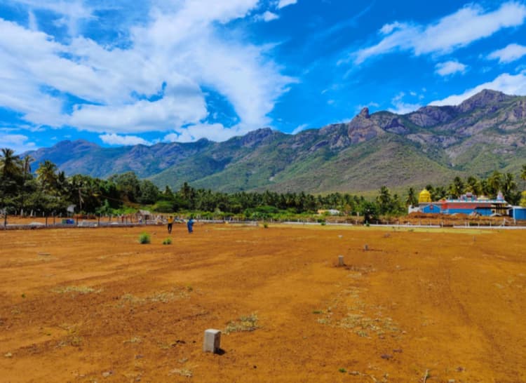 Single Property Image