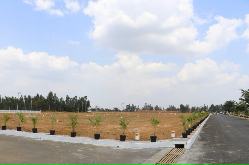 plot for sale