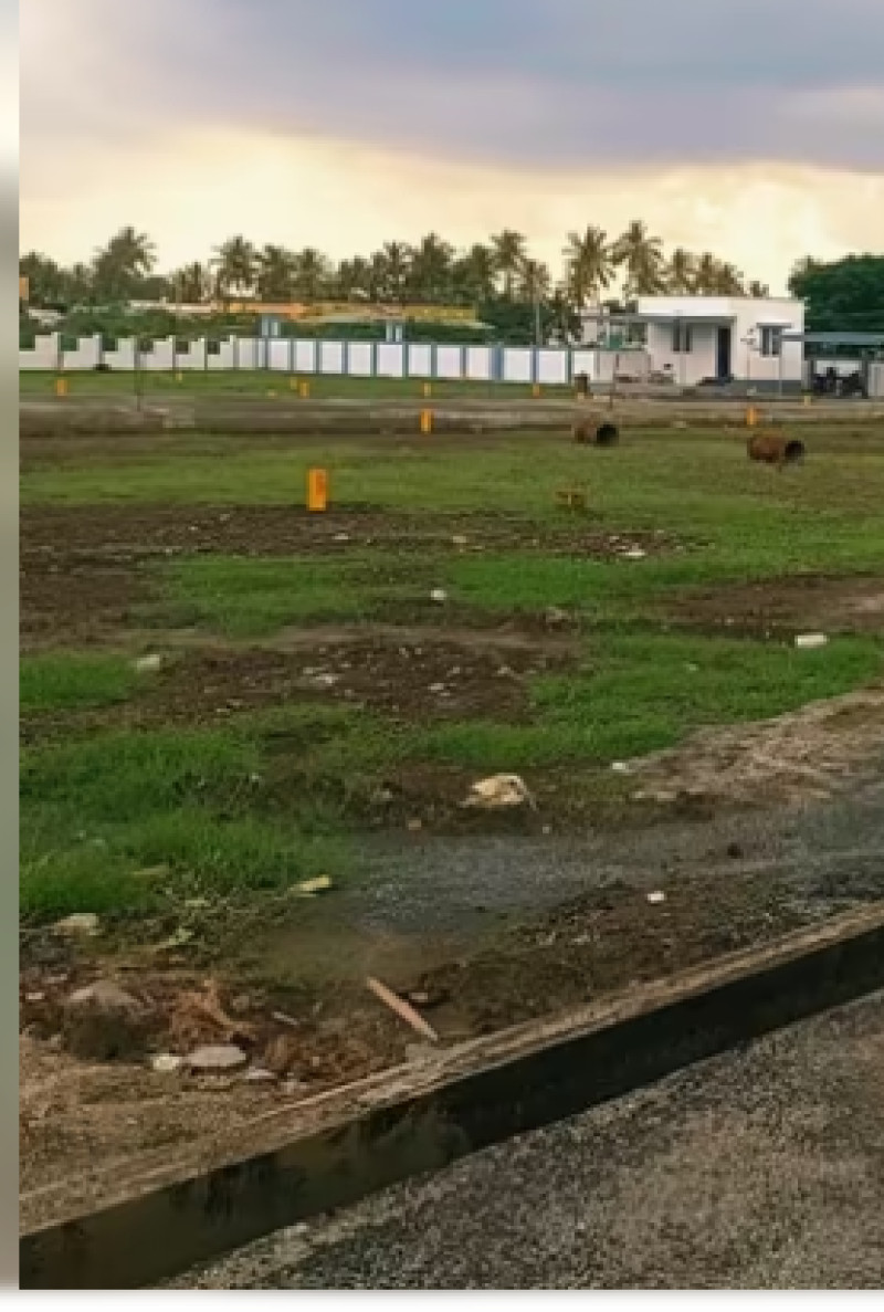 plot for sale