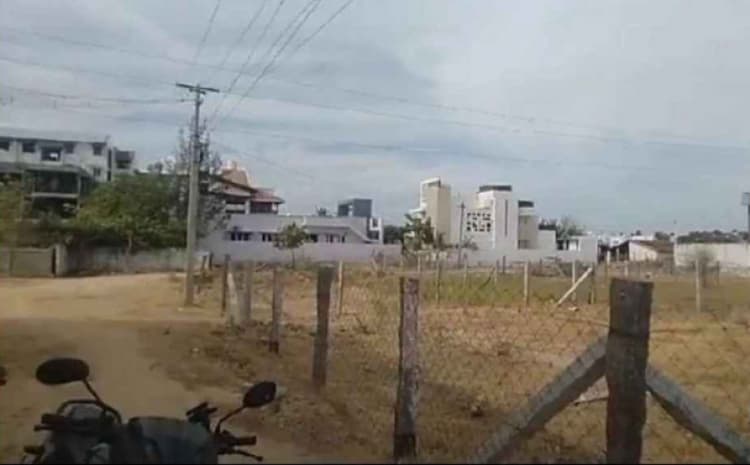 5 Cent plot for sales