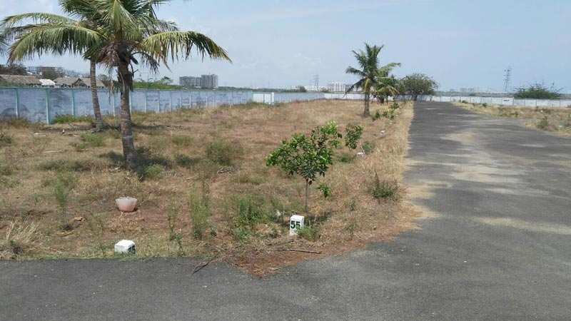 Residential Plot