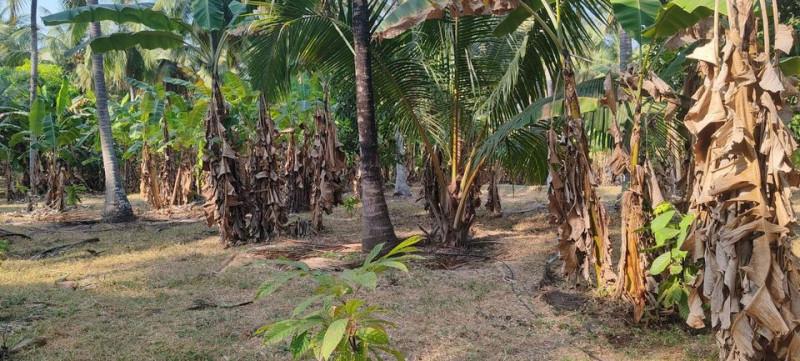 farm land for sale