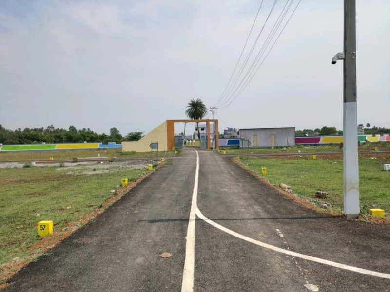 Residential Plot