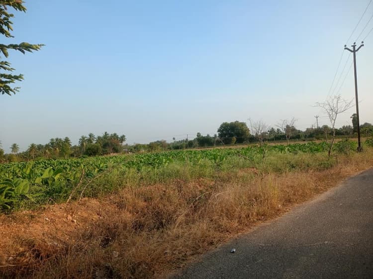 agri land for sale