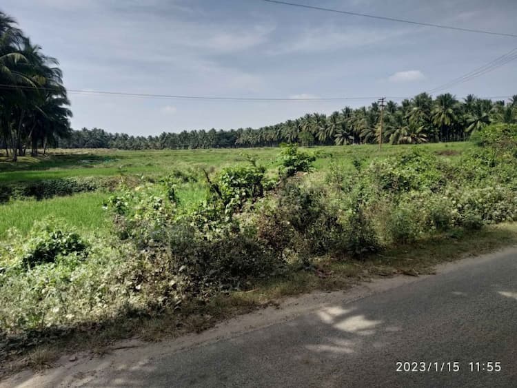 Single Property Image