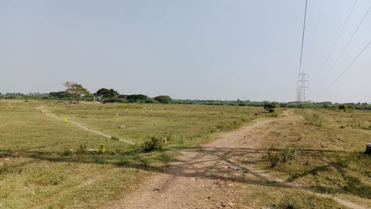 Layout for marketing