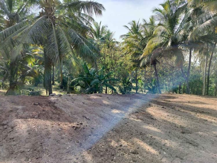 Low budget farm land sale in Kinathukadavu