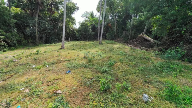 Residential Plot